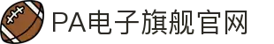 PA电子|PA电子官方网站